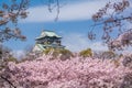 Osaka Castle Royalty Free Stock Photo