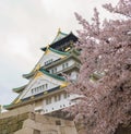 Osaka Castle Royalty Free Stock Photo