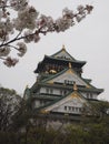 Osaka castle with sakura