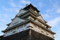 Osaka castle