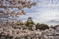 Osaka castle and a tourist boat in the city moat Royalty Free Stock Photo