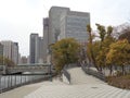 Osaka city area, riverside, greenery with cloudy sky, Osaka 2016 Royalty Free Stock Photo