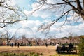 Expo `70 Commemorative Park at spring in Osaka, Japan