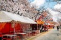 O riverside Minami-Temma Park cherry blossoms festival and street food stalls Yatai in Osaka, Japan