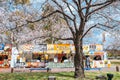 Street food stalls with cherry blossoms at Expo `70 Commemorative Park in Osaka, Japan