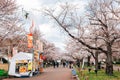 Street food stalls with cherry blossoms at Expo `70 Commemorative Park in Osaka, Japan