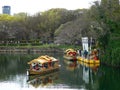 Osaka, Japan. 2 April 2016 - Tourist on the pier of a Golden Wasen (Osaka Castle Gozabune)