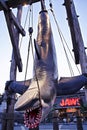 Photo of the hanging JAWS