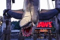 Photo of the hanging JAWS