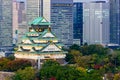 Osaka, Japan Castle Royalty Free Stock Photo