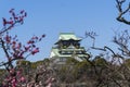 Osaka, Japan Castle Royalty Free Stock Photo