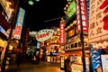 Japanese restaurant signs in puffer fish paper lantern shape and neon signs with city night life