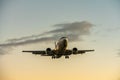 ANA Wings Boeing 737-500 landing at dusk Royalty Free Stock Photo