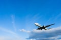 Osaka, Japan - 22 January, 2016 - An All Nippon Airways ANA Boeing 737 landing at Itami Airport, Osaka, Japan