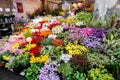 Japanese flower shop with lots of beautiful and various flowers