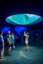 OSAKA, JAPAN - JULY 18, 2017: Dolphing in Osaka Aquarium Kaiyukan Ring of Fire Aquarium , one of the largest public