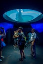 OSAKA, JAPAN - JULY 18, 2017: Dolphing in Osaka Aquarium Kaiyukan Ring of Fire Aquarium , one of the largest public