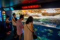 OSAKA, JAPAN - JULY 18, 2017: Unidentified people looking the ecuadorian species of fish originative from the Ecuadorian