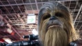 Close up of Chewbacca statue