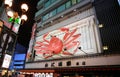 a big Opilio crab on the signboard of restaurant in Dotonbori