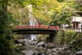 OSAKA, JAPAN -NOVEMBER 07, 2019: tourist Autumn season Red Maple Leaf Fall Foliage at Minoo waterfall in osaka, Japan Royalty Free Stock Photo