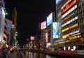 The bright night illumination over the Dotonbori canal in the Namba district in Osaka. Japan