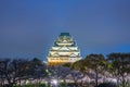 Osaka, Japan at Osaka Castle during the spring cherry blossom se Royalty Free Stock Photo