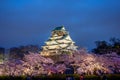 Osaka, Japan at Osaka Castle during the spring cherry blossom se Royalty Free Stock Photo