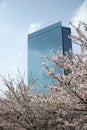 Osaka Office Building. Royalty Free Stock Photo