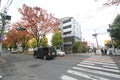 Road, neighbourhood, lane, town, street, infrastructure, urban, area, residential, tree, city, downtown, pedestrian, car, plant, m