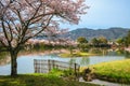 Osawa pond with cherry blossom at Arashiyama in Kyoto, japan Royalty Free Stock Photo