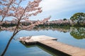 Osawa pond with cherry blossom at Arashiyama in Kyoto, japan Royalty Free Stock Photo