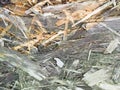 OSB boards are made of brown wood chips sanded into a wooden background. Top view of OSB wood veneer background, tight, seamless Royalty Free Stock Photo