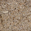 Osb - oriented strand board or qsb - quality strand board, chipboard texture or chipboard background with copy space for text or