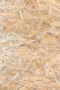 OSB panel texture. Oriented Strand Board. Chipboard building material. OSB wooden panel made of pressed sandy brown wood shavings