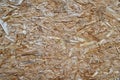 OSB plate consisting of pressed pine tree chips Royalty Free Stock Photo