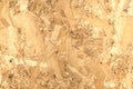 OSB Wooden panel made from pressed wood shavings rear side front view Royalty Free Stock Photo