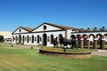 Osborne Bodega, El Puerto de Santa Maria.