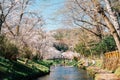 Oshino Hakkai village with cherry blossoms near Fuji Mountain in Yamanashi, Japan Royalty Free Stock Photo