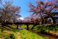 Oshino Hakkai village and fuji with sakura Royalty Free Stock Photo