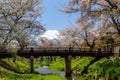 Oshino Hakkai village lake with fuji, cherry blossom Royalty Free Stock Photo