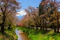 Oshino Hakkai village with Mt. Fuji Royalty Free Stock Photo