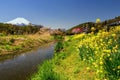 Oshino Hakkai village with sakura and mt. Fuji Royalty Free Stock Photo