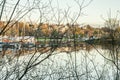 Oslo - the fjord - a view through the branches. Royalty Free Stock Photo