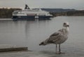 Oslo, Norway, Europe - a seagull and a ship on a cloudy day. Royalty Free Stock Photo