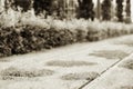 Oslo railway with sepia grass background