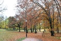 Oslo royal palace garden park, view from parkway alley boulevard Royalty Free Stock Photo