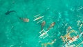 Oslob Whale Shark Watching in Philippines, Cebu Island.