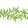 Osmanthus vector pattern