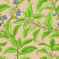 Osmanthus vector pattern